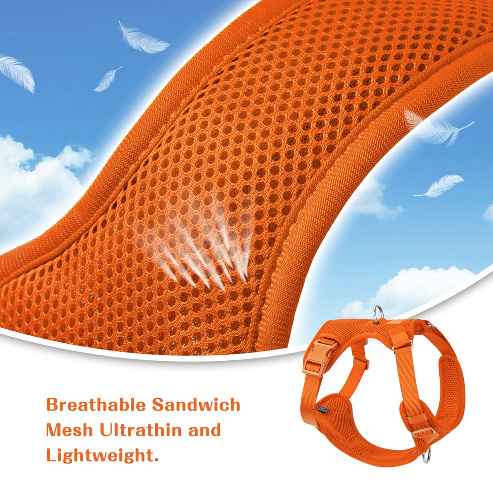 Sunraymascota easy-on snaps quick-release for hassle-free wear