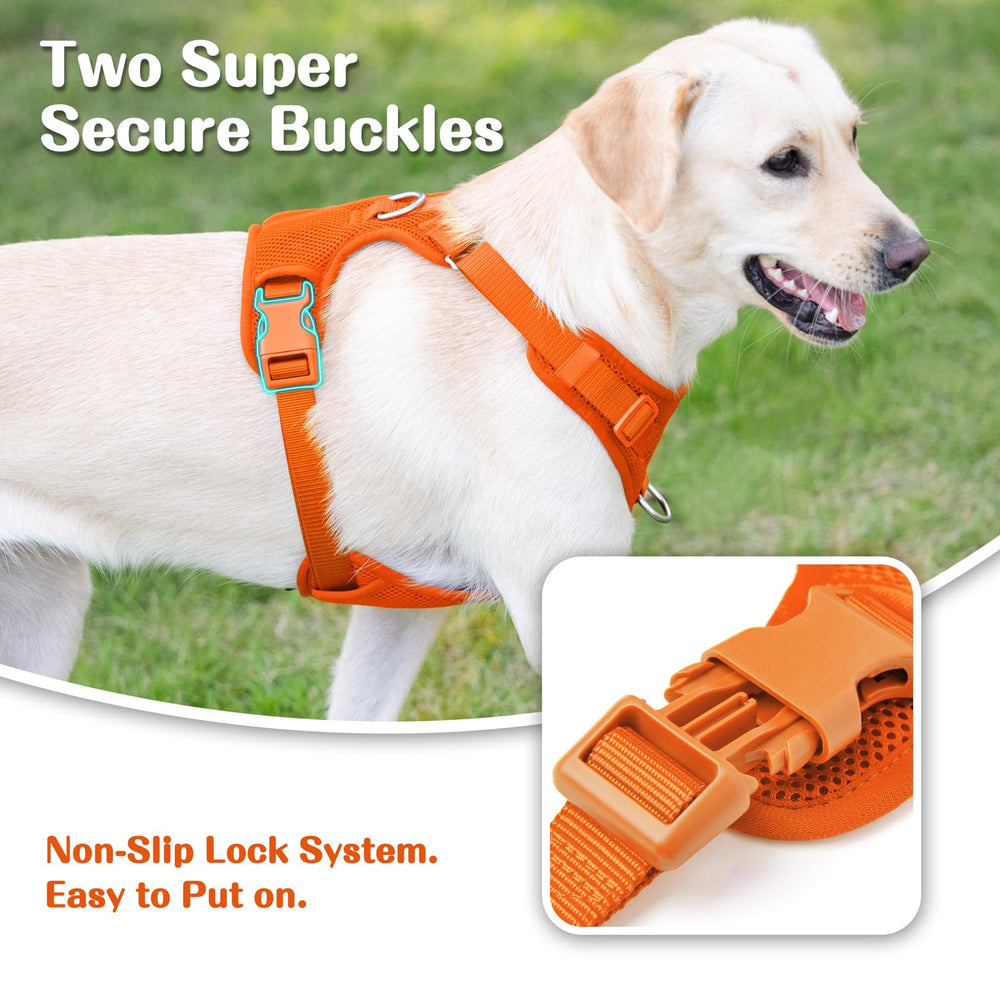 Sunraymascota escape-proof design provides peace of mind on walks