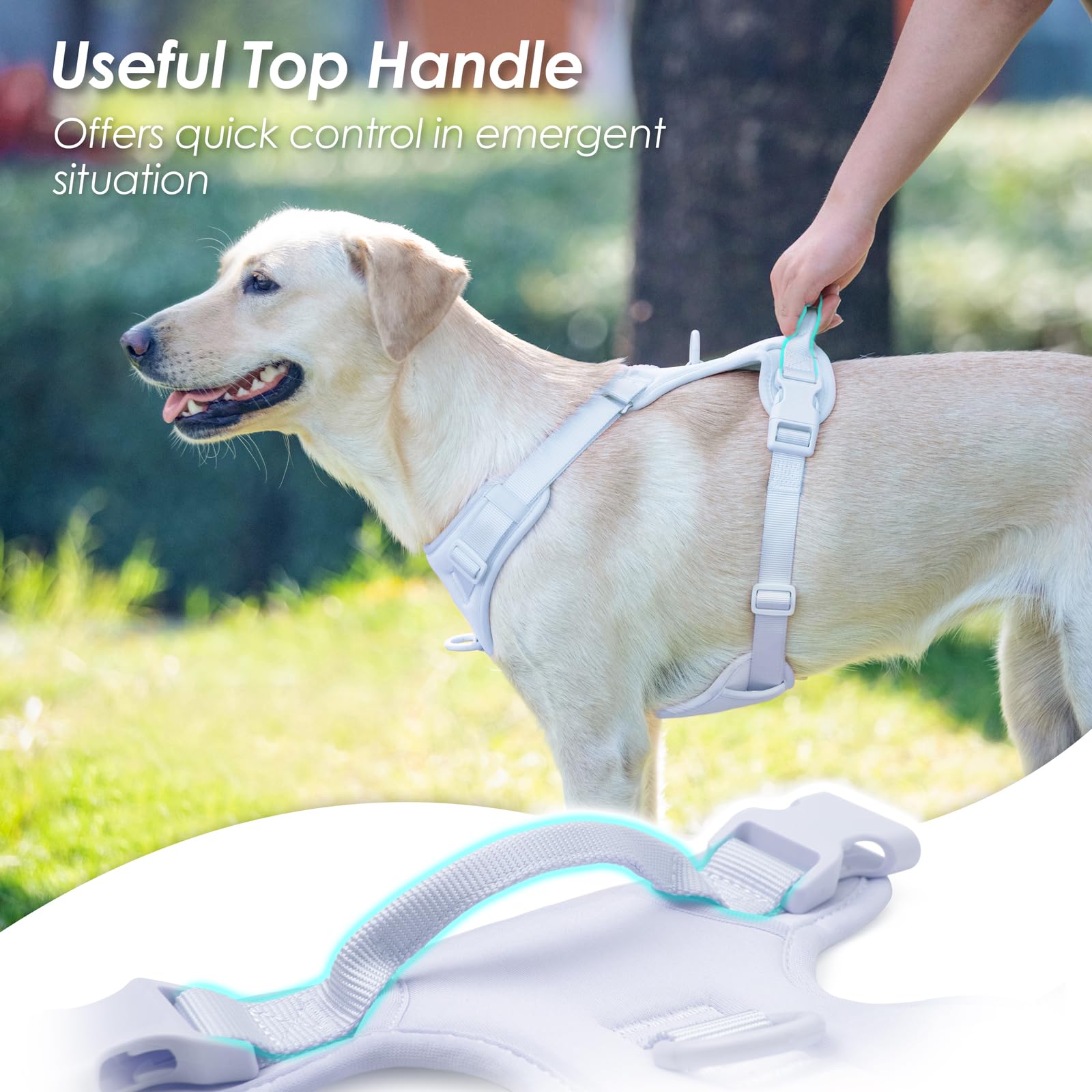 Sunraymascota fully adjustable straps tailor fit for growing dogs.