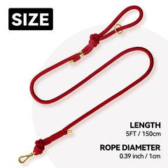 Sunraymascota leash clip close-up showing golden-toned carabiner for secure daily walks
