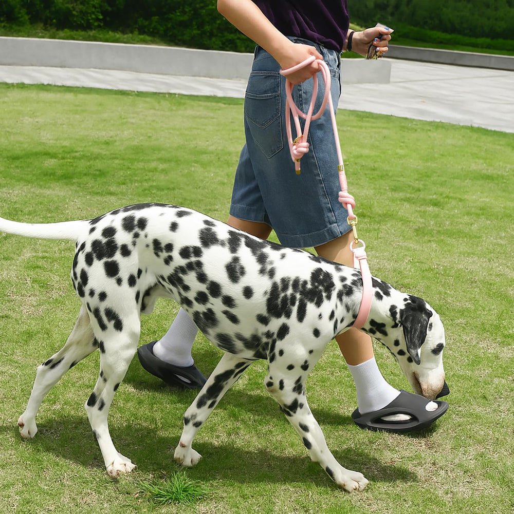Sunraymascota leash light pink color for stylish daily use