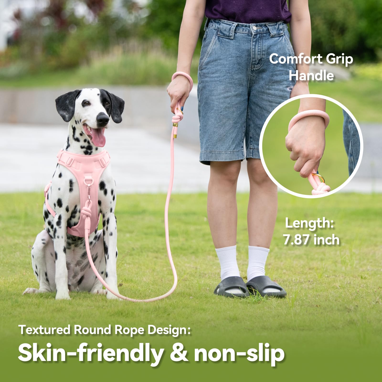 Sunraymascota leash metal clip showcases rust-proof, golden-toned attachment