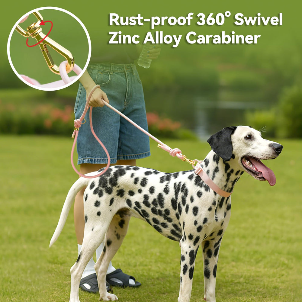 Sunraymascota leash weather-resistant nylon exterior for outdoor use