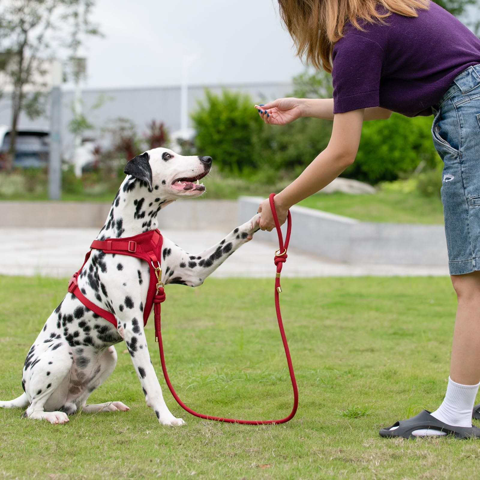 Sunraymascota leash weight balance detail demonstrates ergonomic design for control