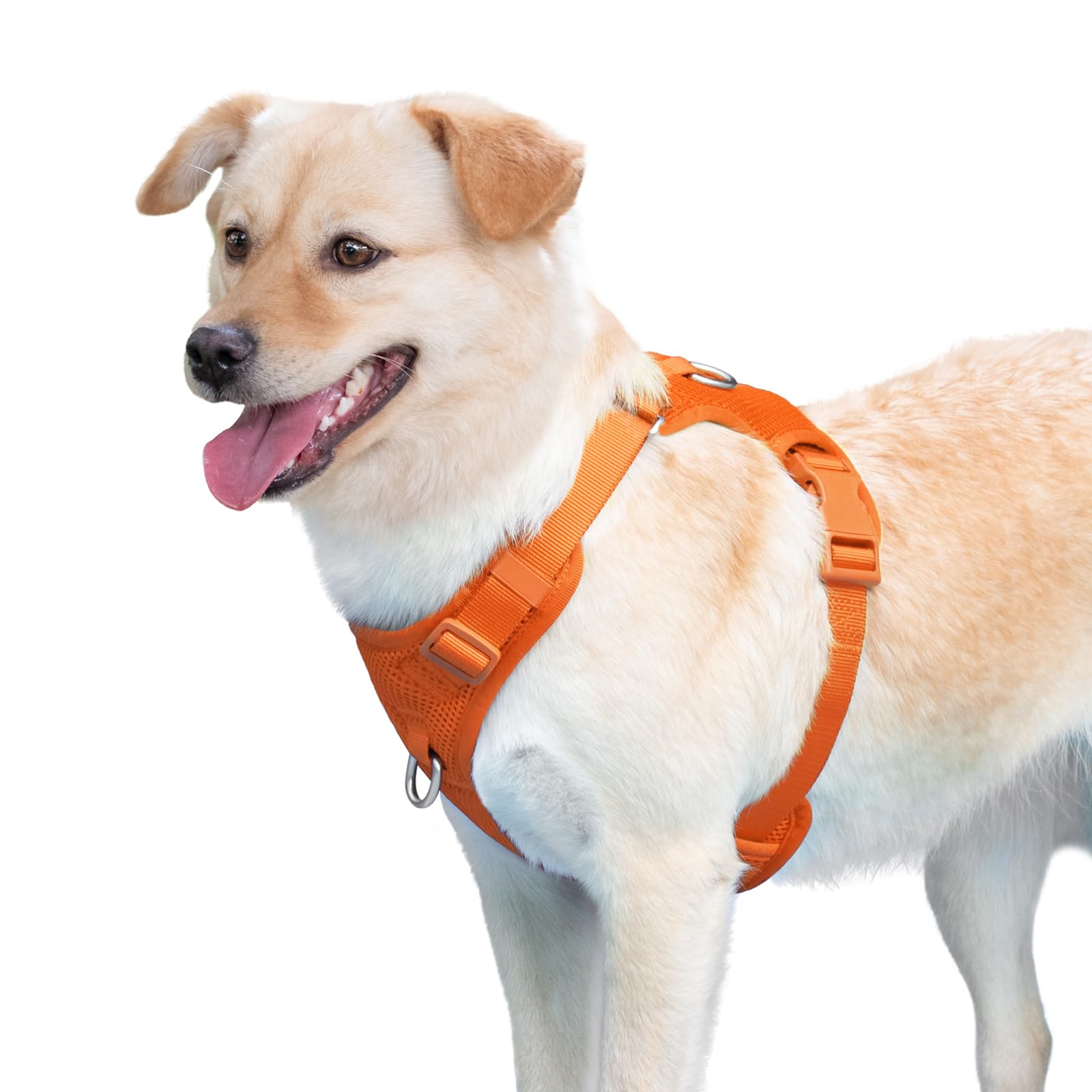 Sunraymascota lightweight comfort for all-day adventures