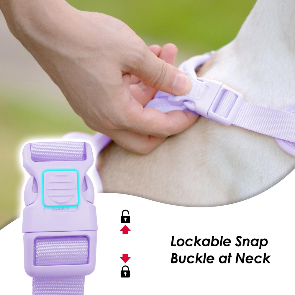 Sunraymascota no-pull back-D-ring harness with dual rings for versatile use