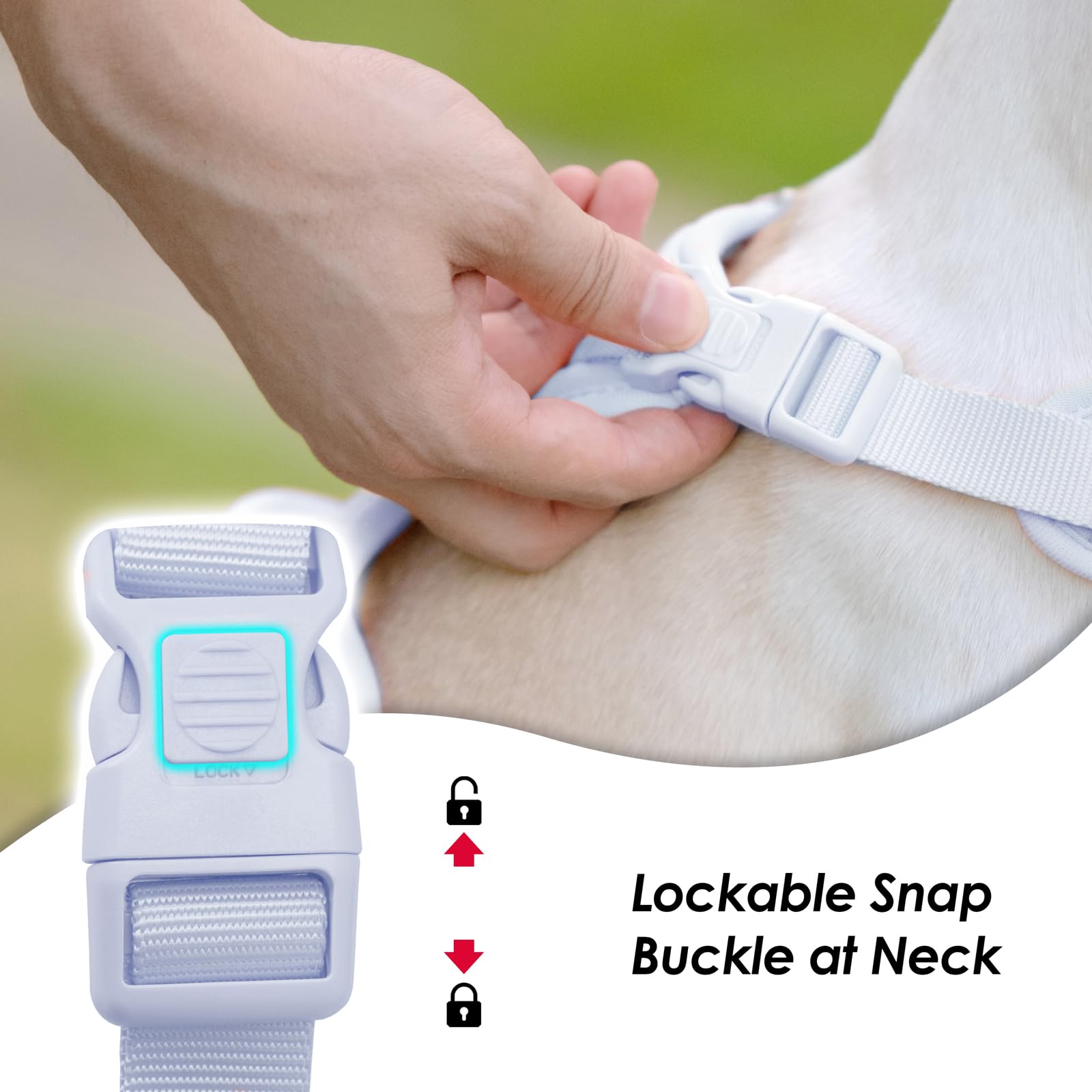 Sunraymascota no pull harness back D-ring enables easy daily leash attachment.