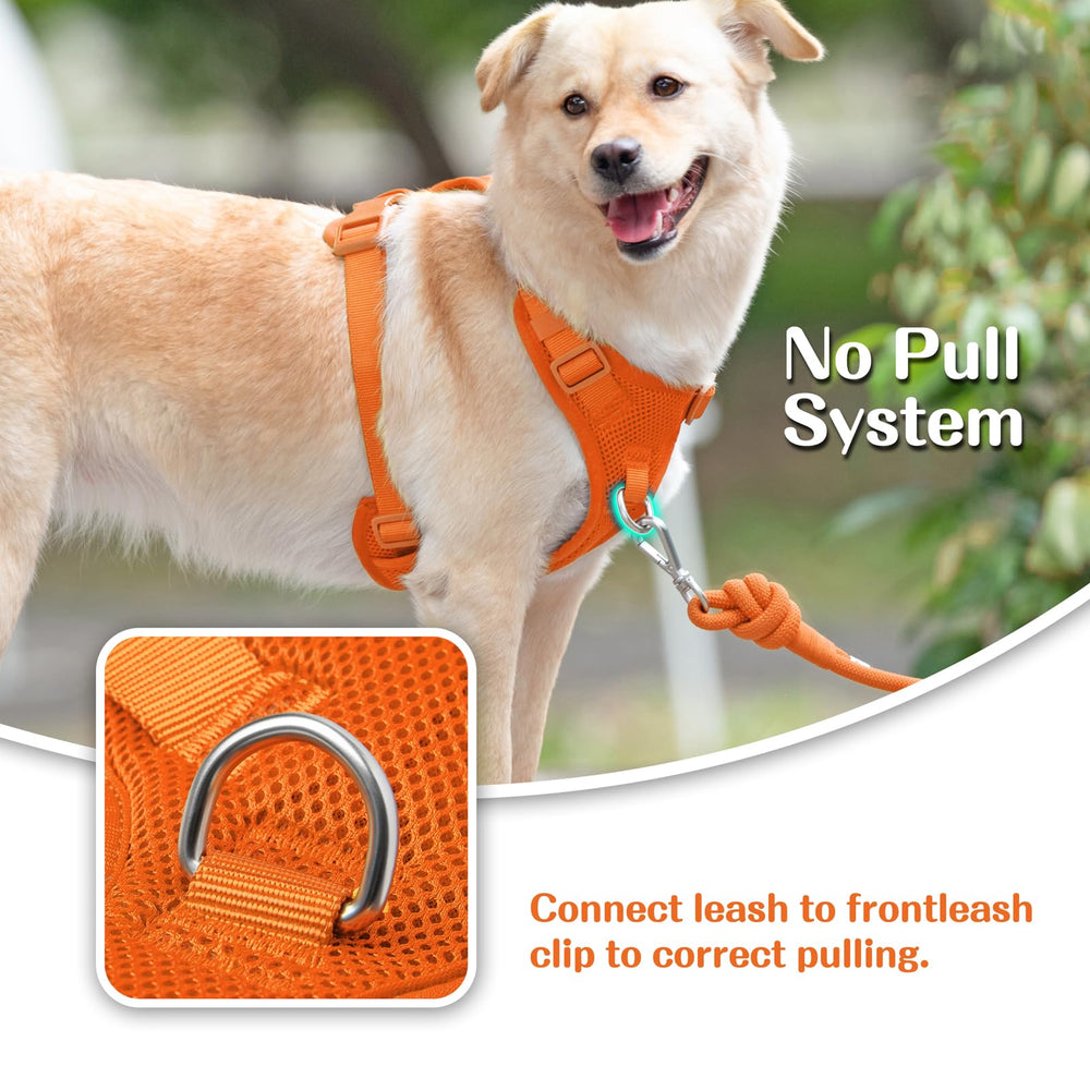 Sunraymascota no pull harness back D-ring ideal for casual walks