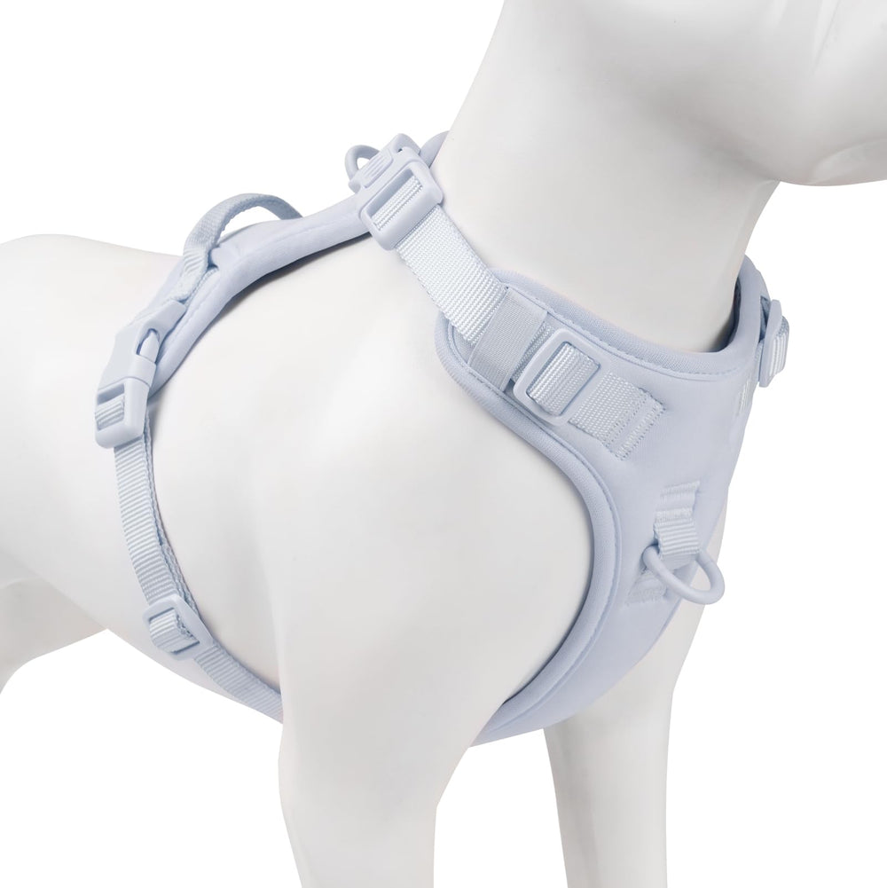 Sunraymascota no pull harness front clip prevents pulling during quick walks.