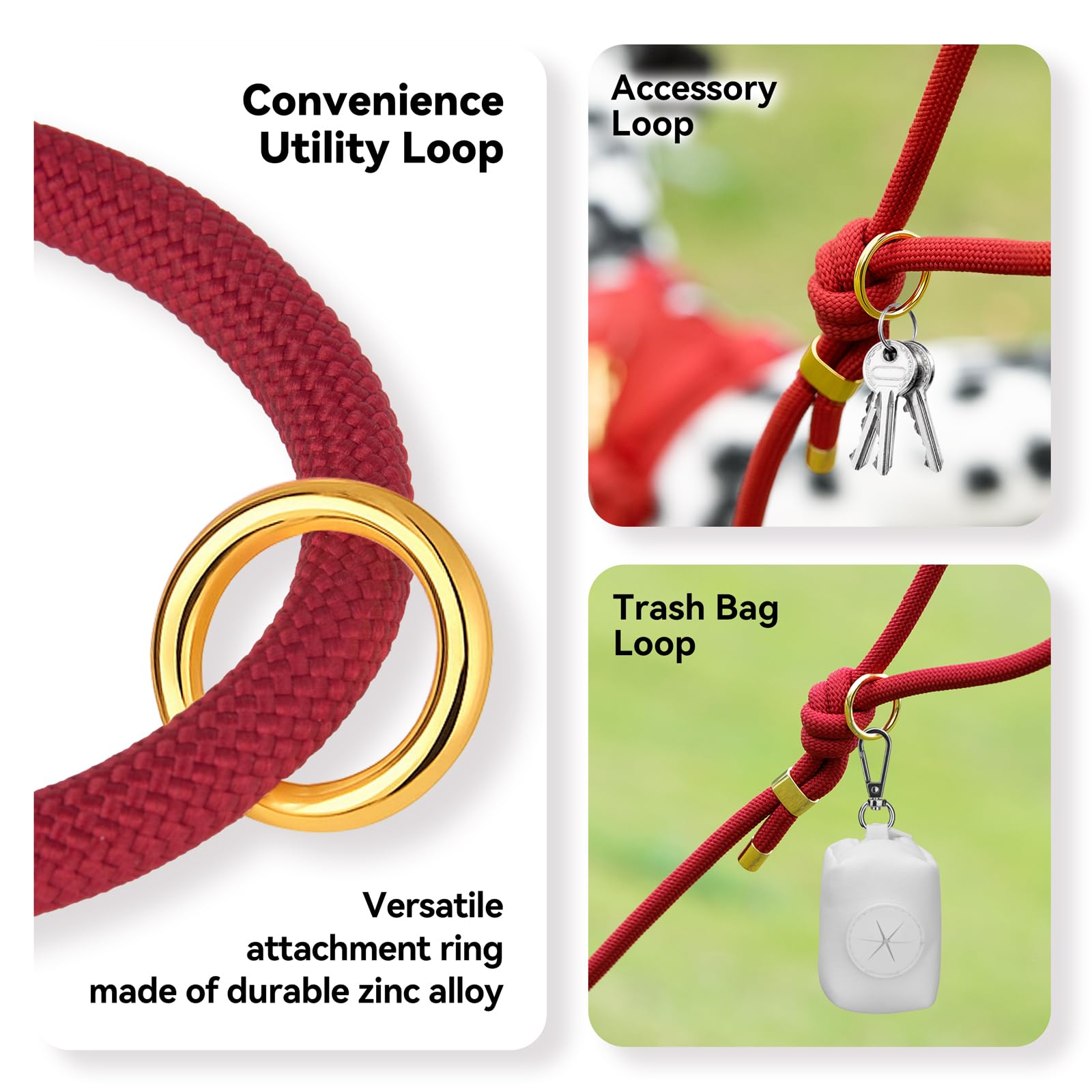 Sunraymascota weather-ready nylon leash demonstrates durability in varying conditions