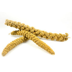 Sunseed Millet Spray close-up grains show natural nutrition for birds.
