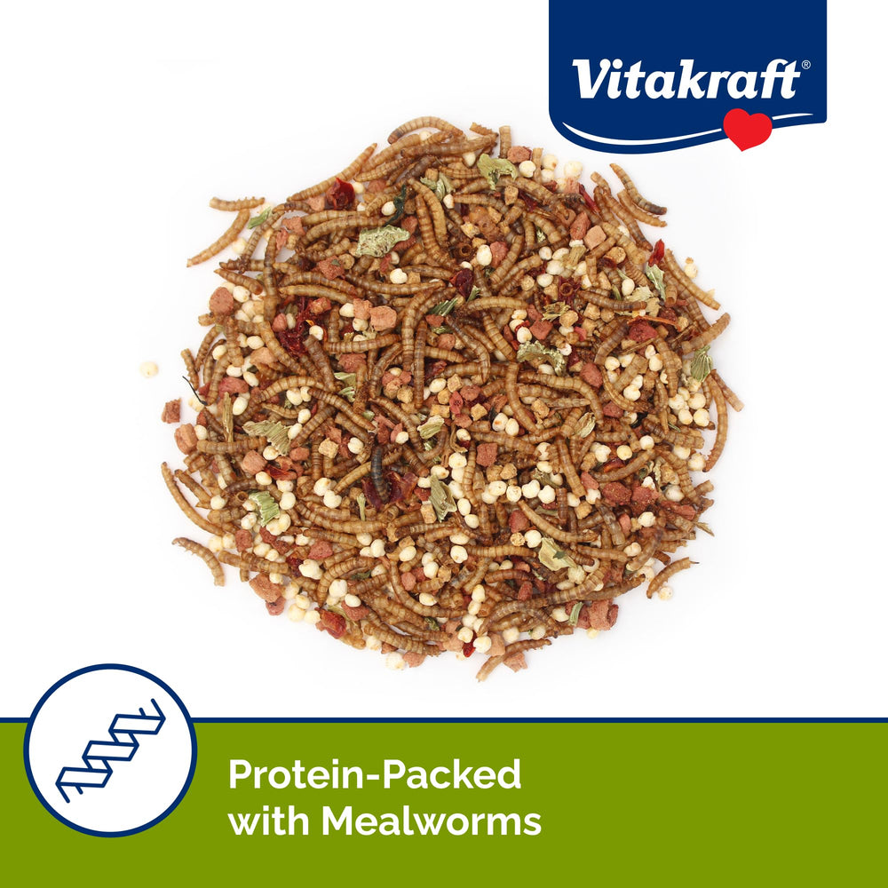 Sunseed Vita Prima Wigglers & Berries hedgehog enjoying a tasty snack.