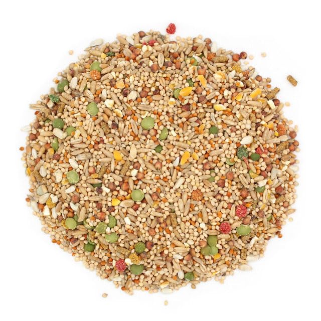 Sunseed Vita Sunscript made-in-usa label signals quality dove and pigeon feed.