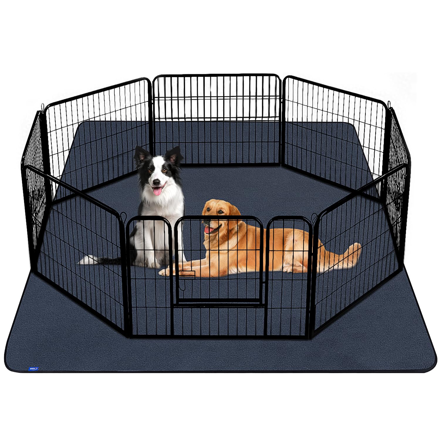 Sunsleek 65x48 setup demonstrates large surface for quick housebreaking and easy cleanup.