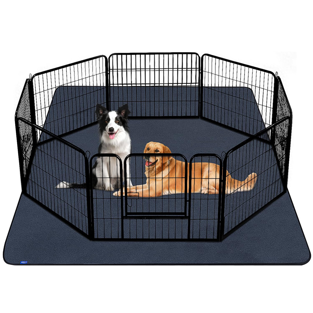 Sunsleek 65x48 setup demonstrates large surface for quick housebreaking and easy cleanup.
