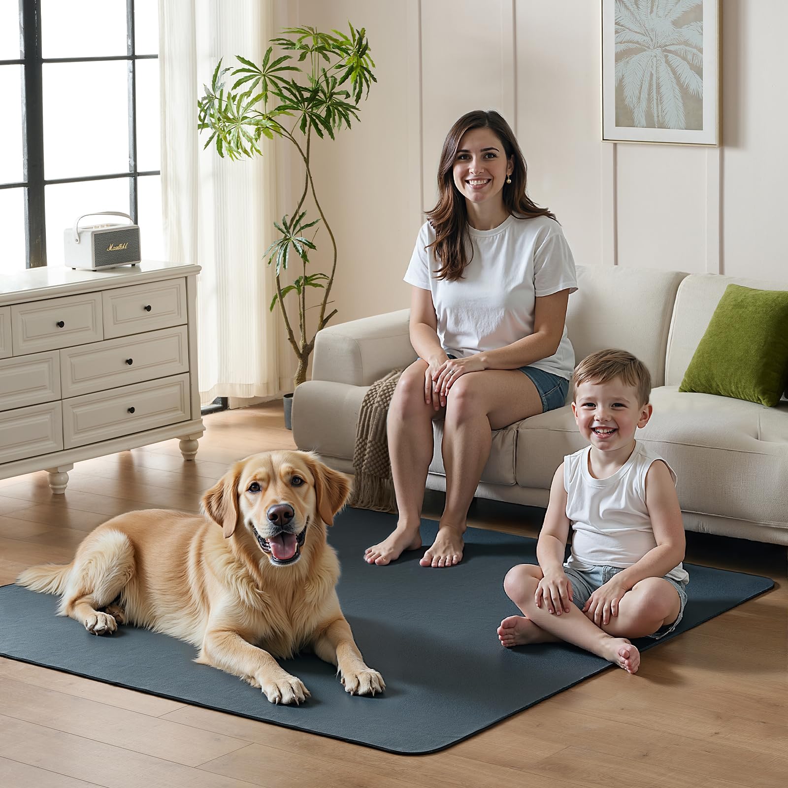 Sunsleek 65x48 soft-top view highlights paw-friendly comfort during training.
