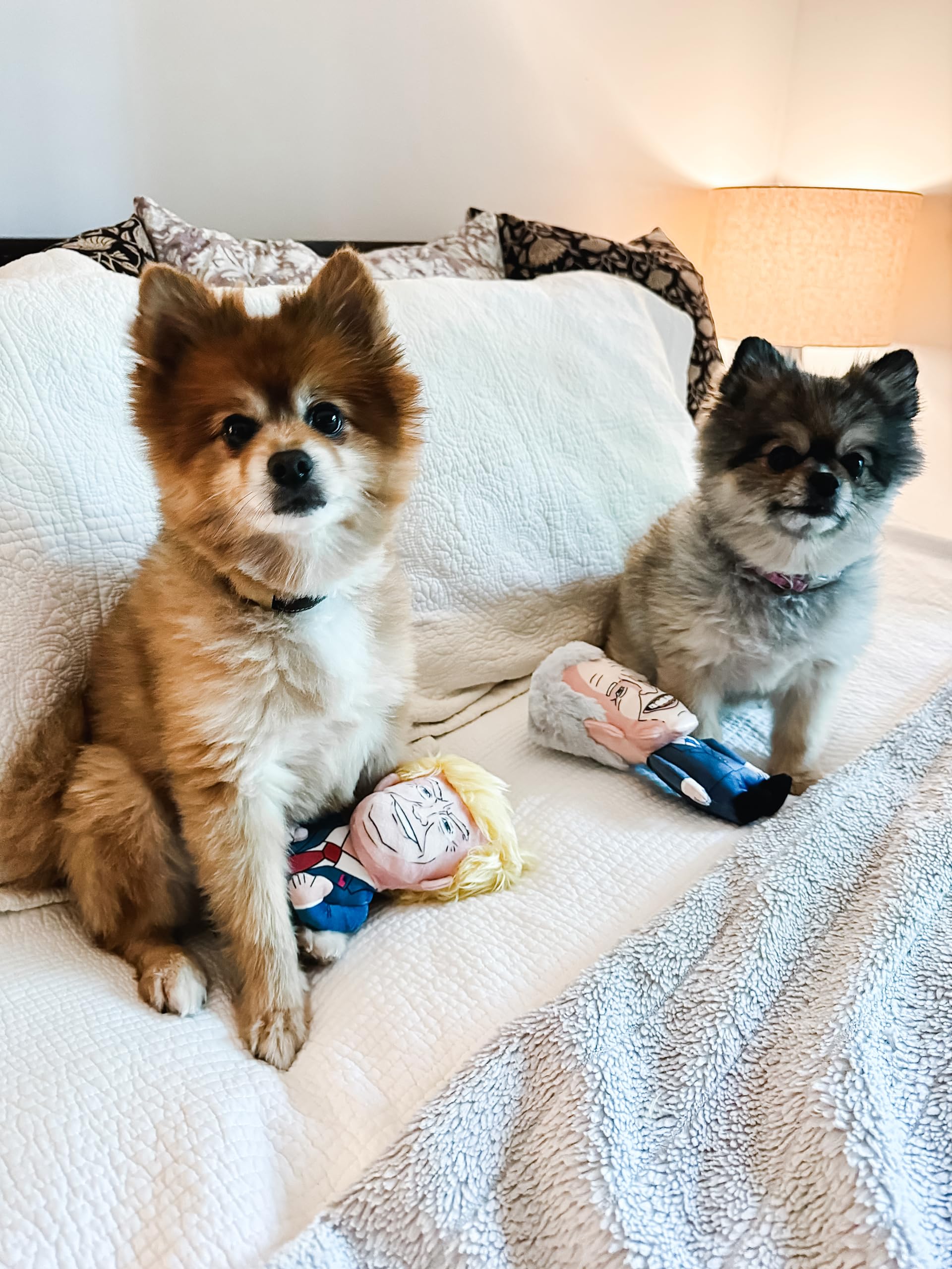 SUNSPARK cats enjoy Donald Trump plush toy for cuddling and gentle play.