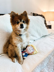 SUNSPARK dogs fetch with Donald Trump toy, durable design for long-lasting entertainment.