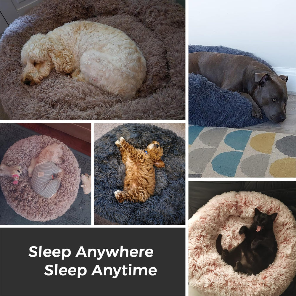 SunStyle Home cat-bed-round-donut demonstrates versatile comfort for cats and small pets.