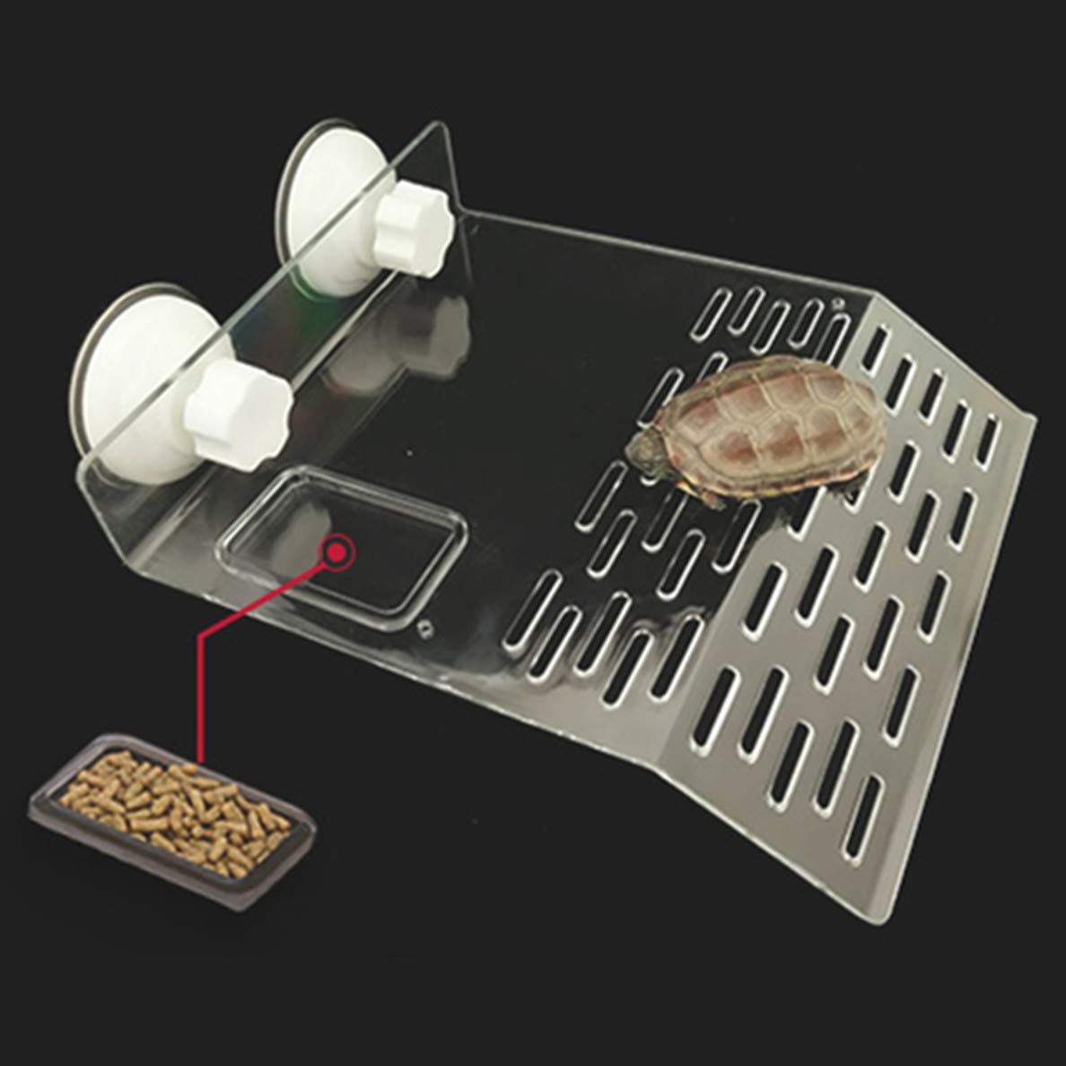 Sunxenze turtle basking platform terraced slope enables easy climbing.