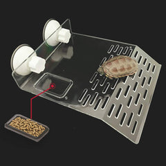 Sunxenze turtle basking platform terraced slope enables easy climbing.