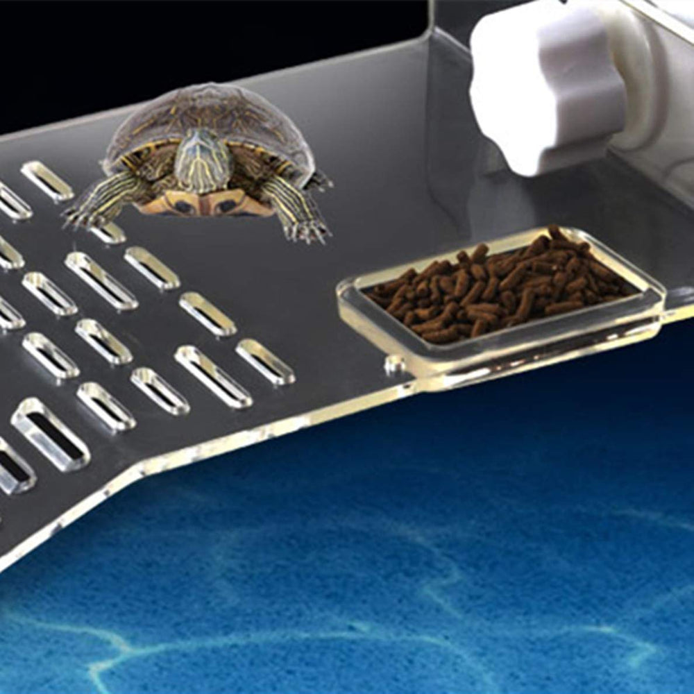 Sunxenze turtle basking platform tunnel area invites exploration and gentle exercise.