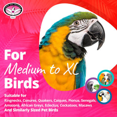 Super Bird Creations Fatty Bagels bird-safe paper construction highlights safety