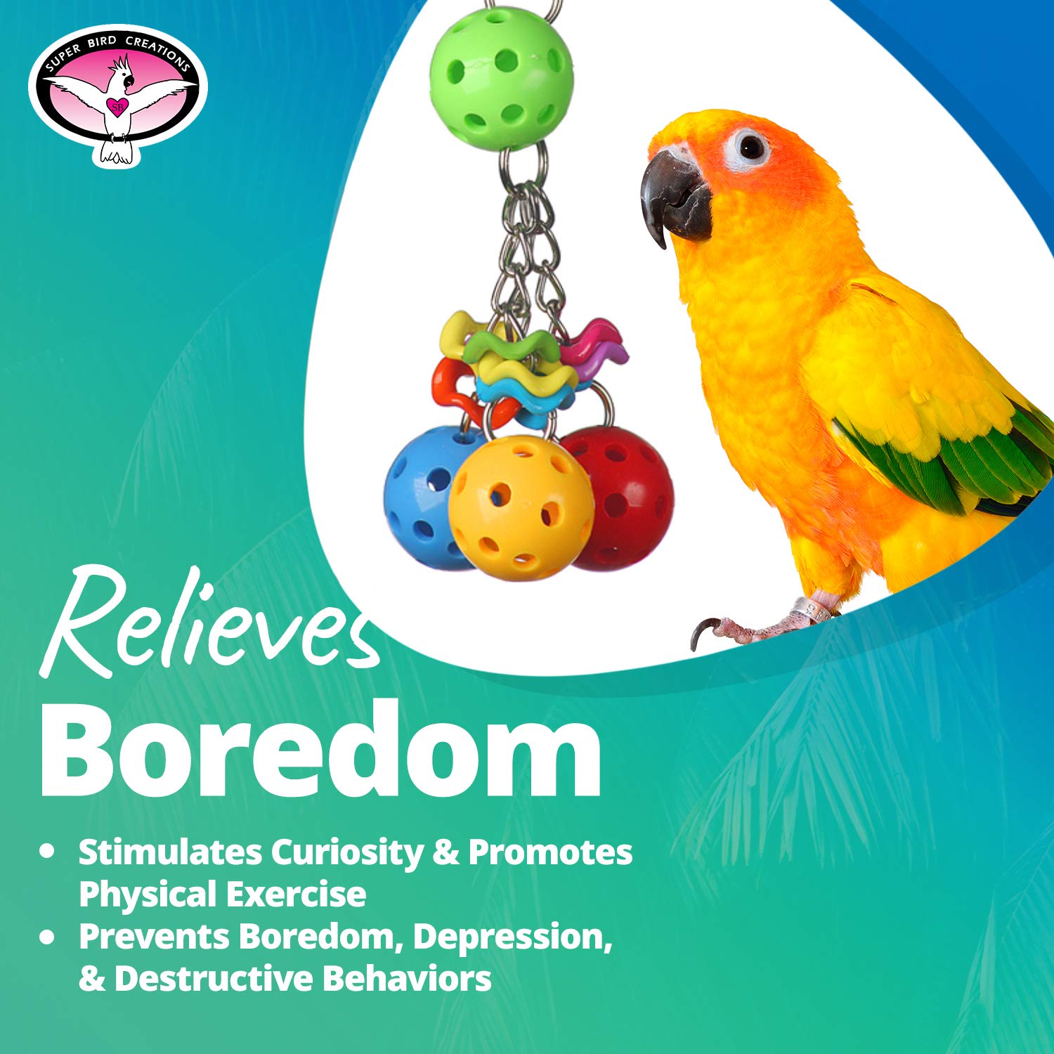 Super Bird Creations Jingleberries in-use with a small bird demonstrates active engagement.