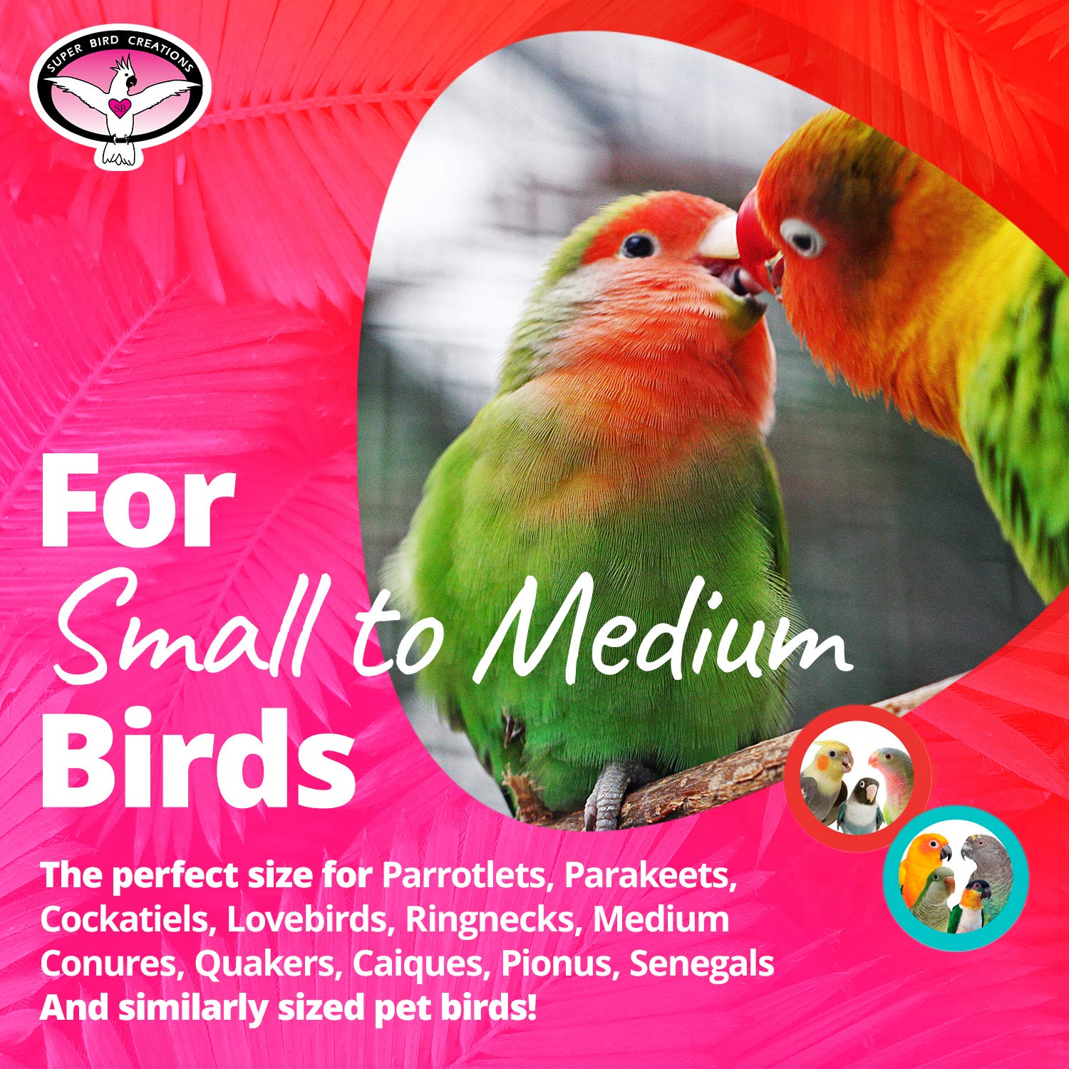 Super Bird Creations Jingleberries wiggle-rings-on-chain promote tactile exploration.