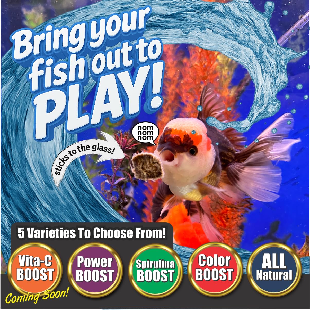 Feeding action of Super Cichlids blackworms demonstrates quick portioning convenience.