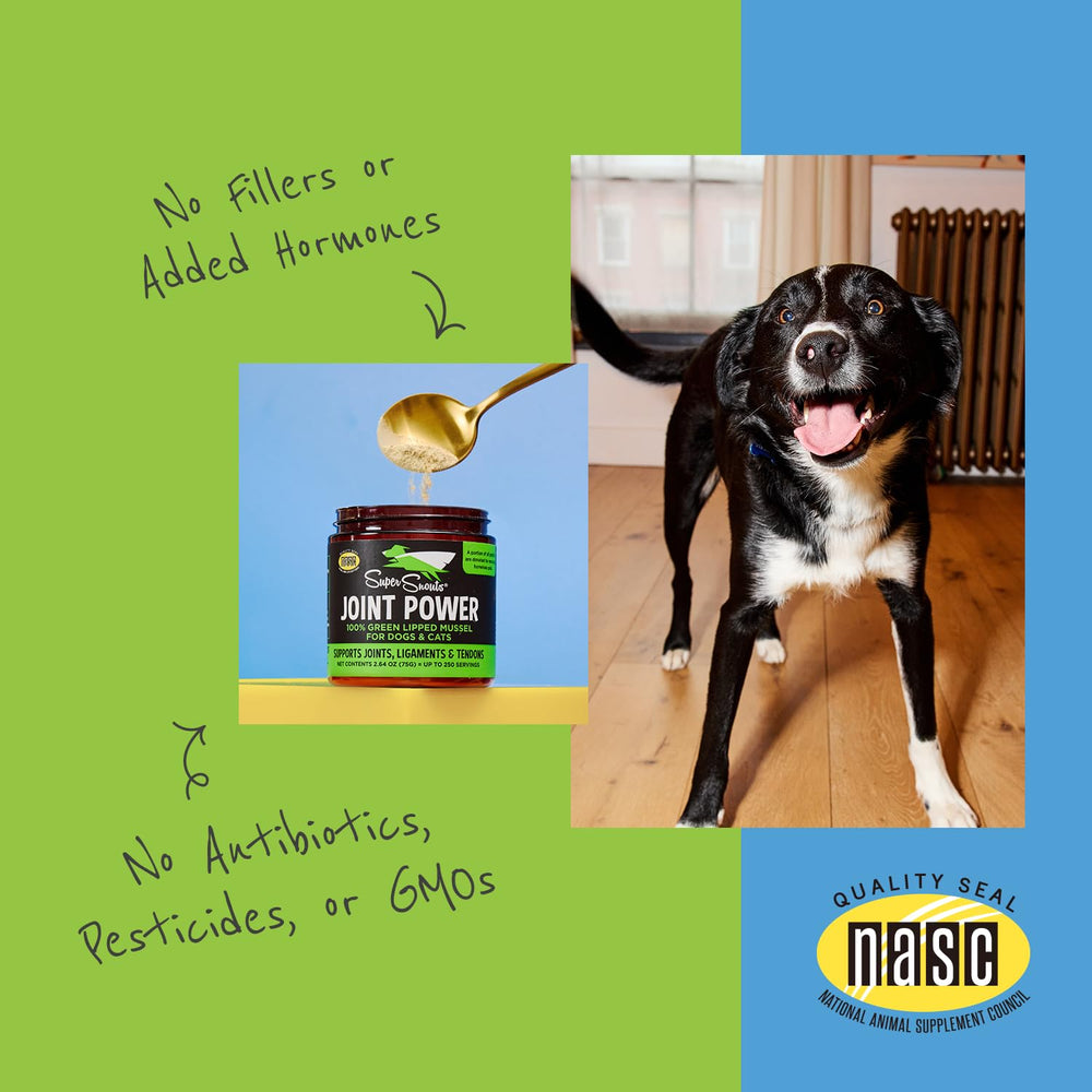 Super Snouts Joint Power dog cat serving demonstrates daily supplement for pets.
