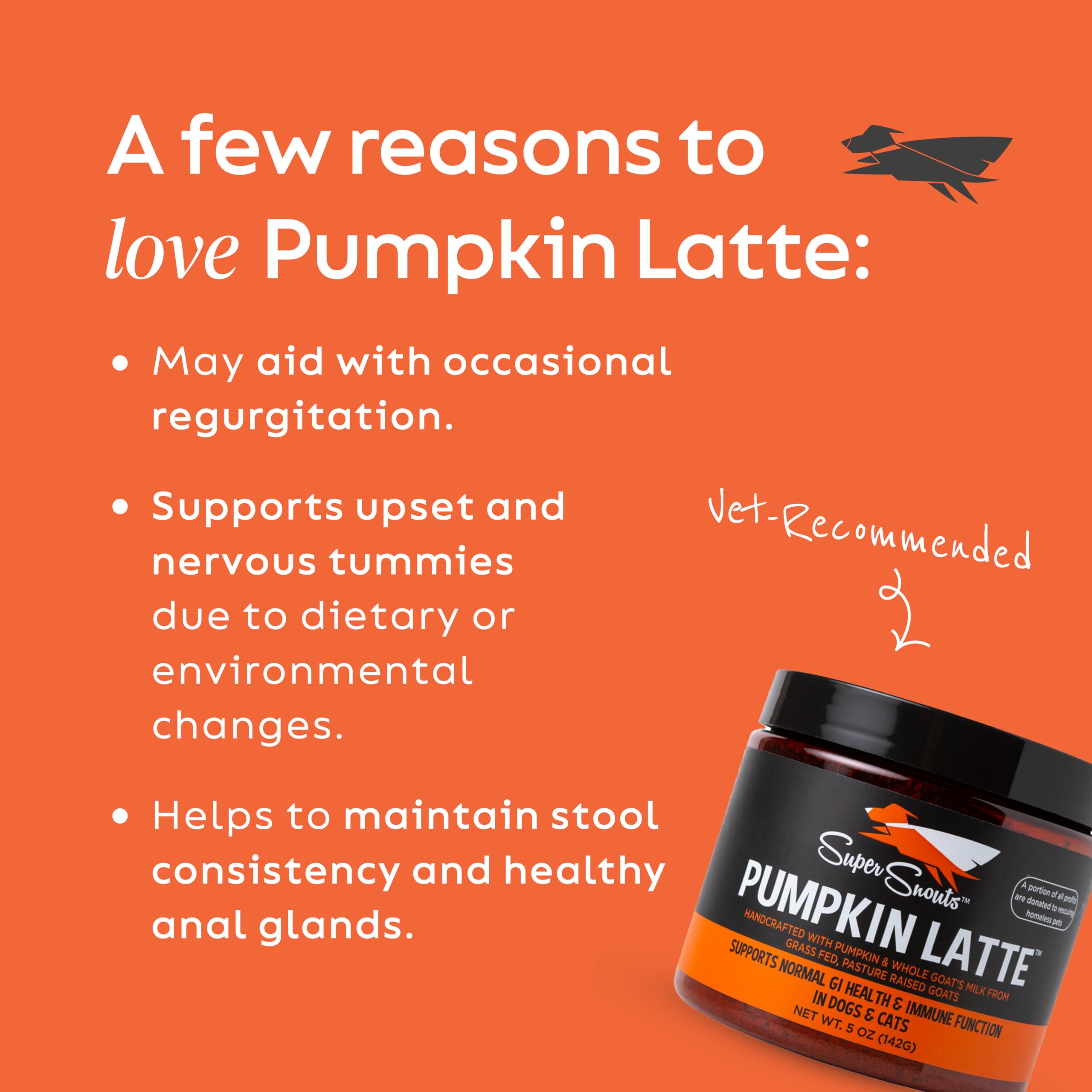 Super Snouts Pumpkin Latte pumpkin-goat-milk powder jar highlights goat milk for gentle digestion.