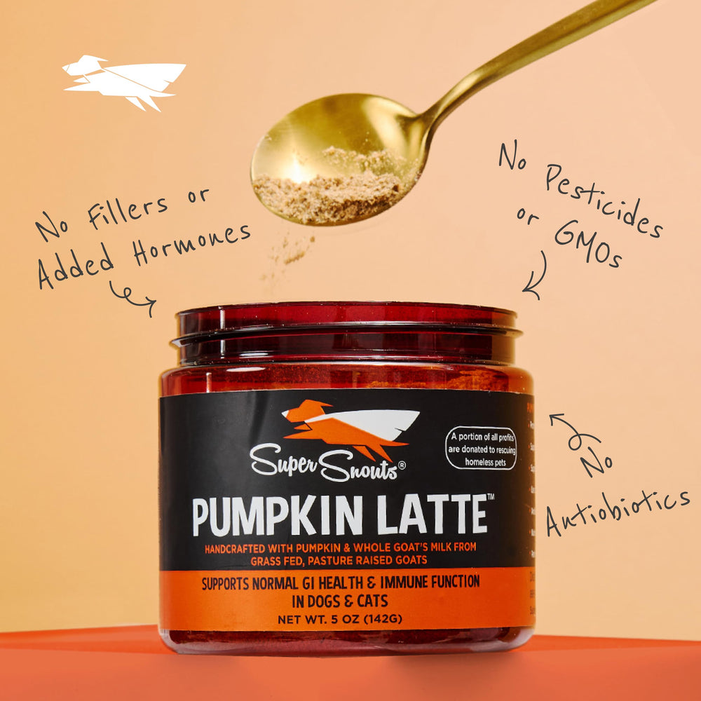 Super Snouts Pumpkin Latte powder sprinkled into pet food for easy mixing.