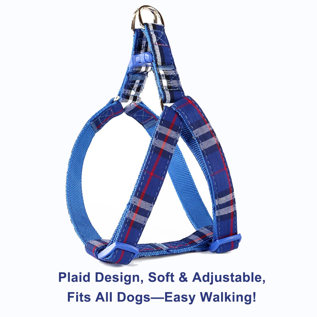 SuperBuddy five-foot leash offers reliable control during daily walks.