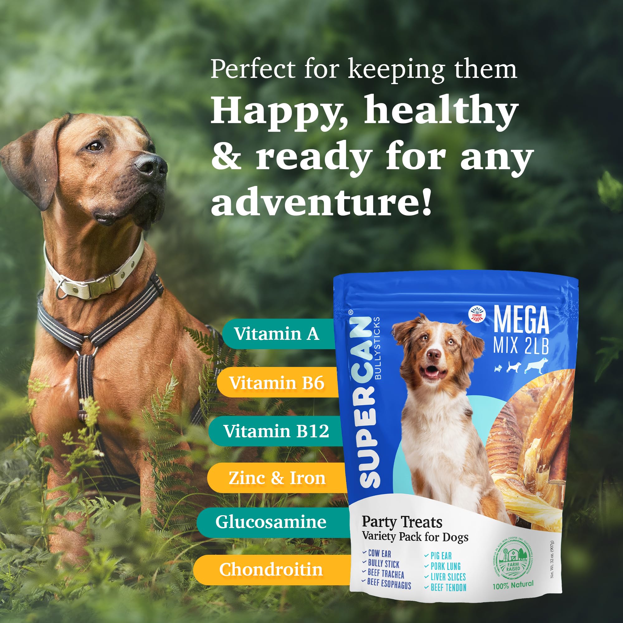 SUPER CAN BULLYSTICKS Mega Mix collagen pieces add natural texture and flavor.