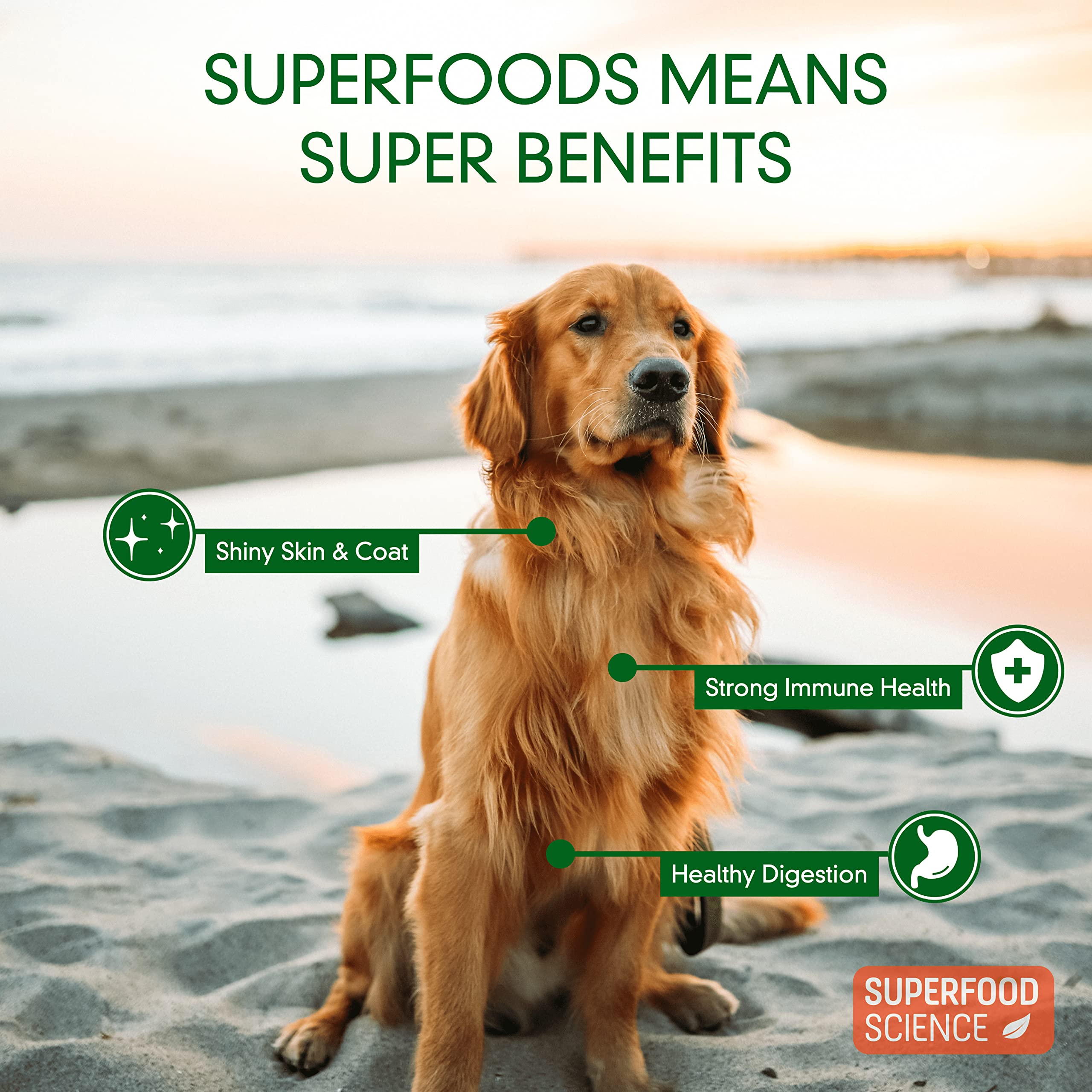 Superfood Science human-grade ingredients dog treats emphasize quality and safety.