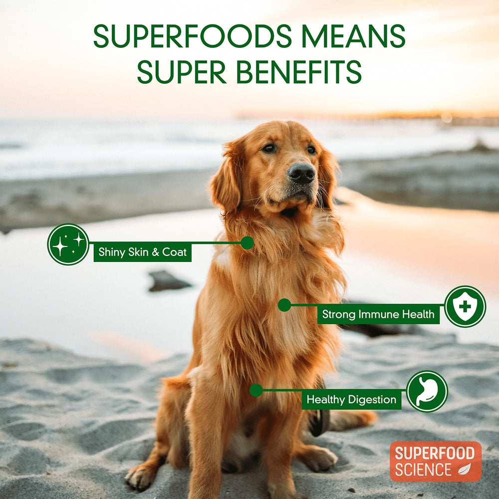 Superfood Science human-grade ingredients dog treats emphasize quality and safety.