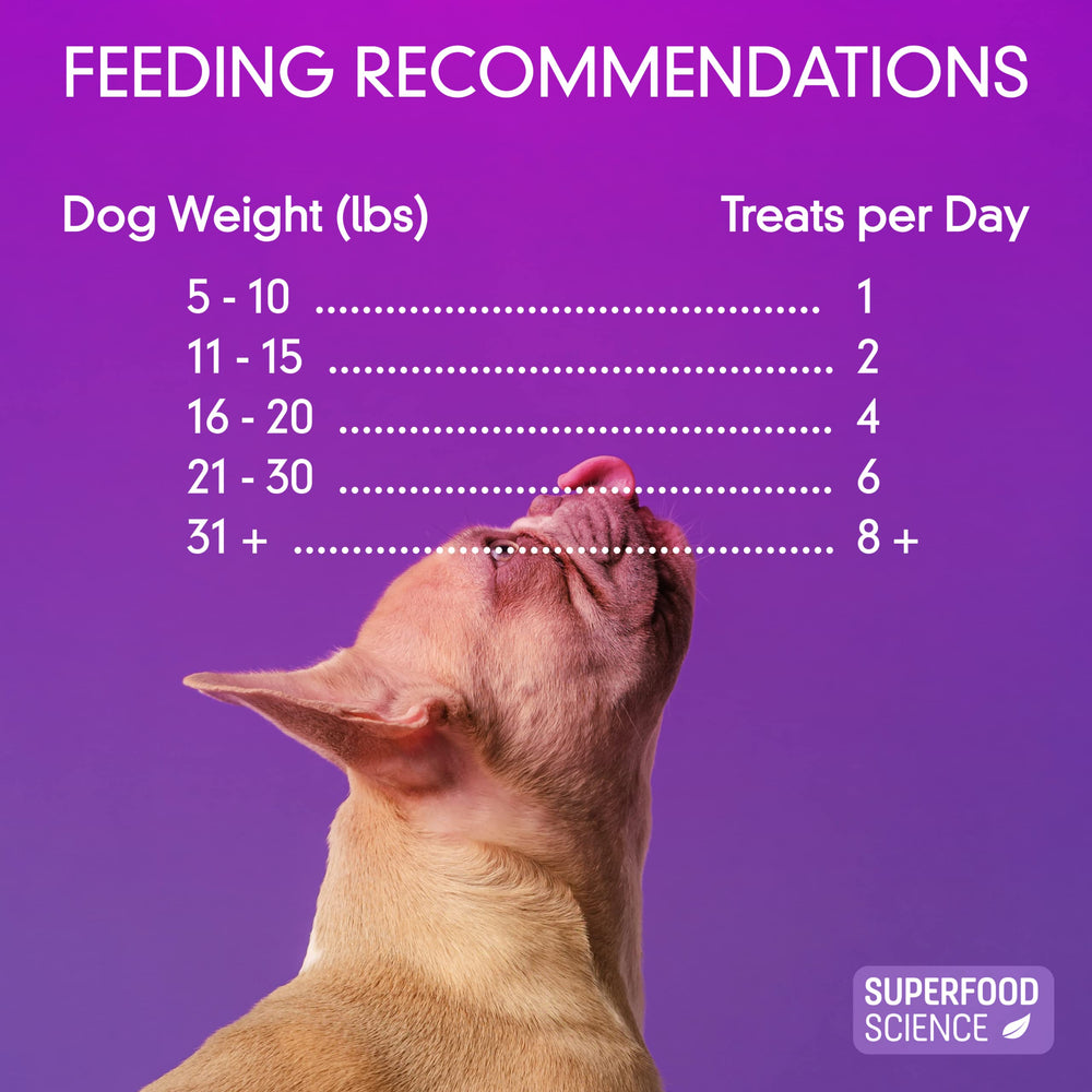 Superfood Science multi-breed friendly bites suit dogs across sizes.