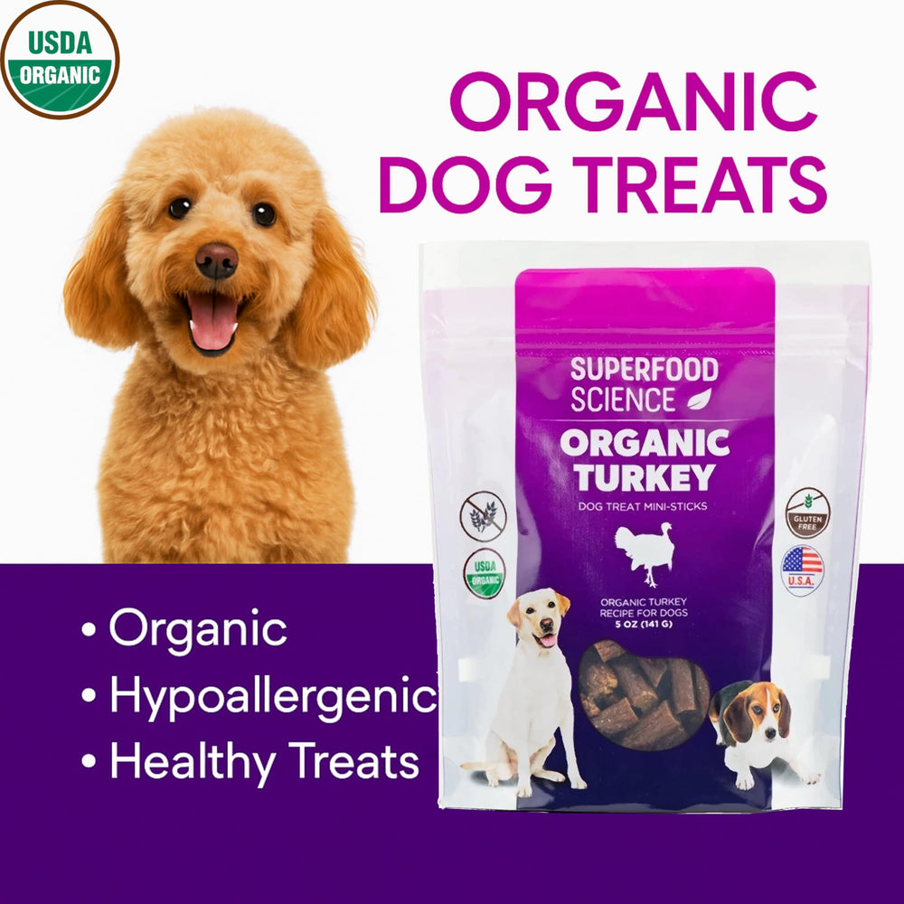 Superfood Science turkey training session treats shown for focused puppy recall practice.