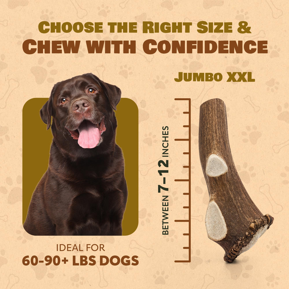Superior Antler Dog Chews elk antler indoors and outdoors use for versatile chewing sessions