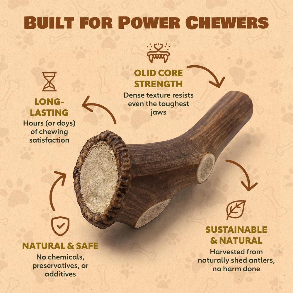 Superior Antler Dog Chews elk antler provides minerals like calcium and zinc for natural support