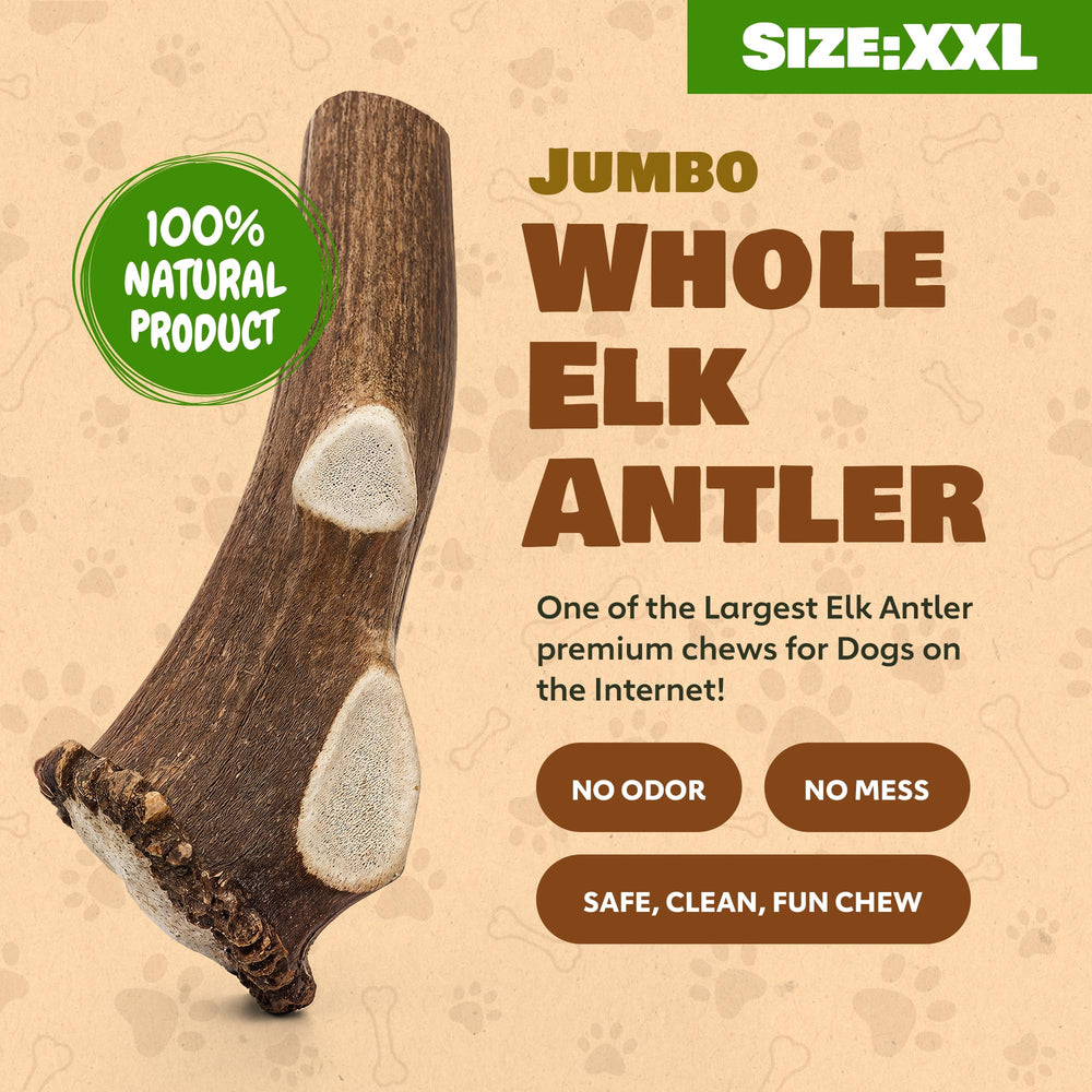 Superior Antler Dog Chews elk antler safety; hand-cut edges for smooth chewing