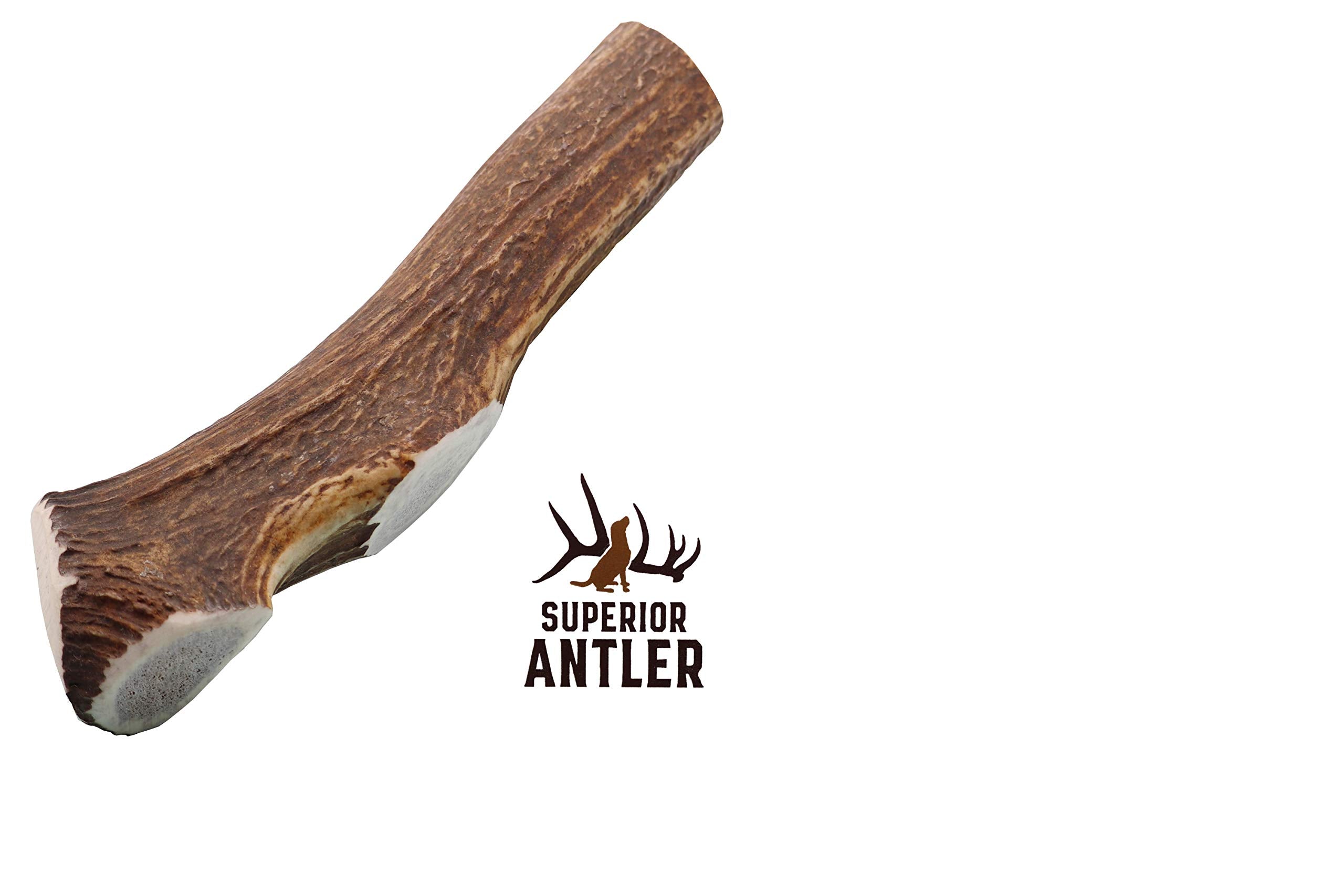 Superior Antler Dog Chews elk antler size 7-12 inches ideal for extra-large breeds