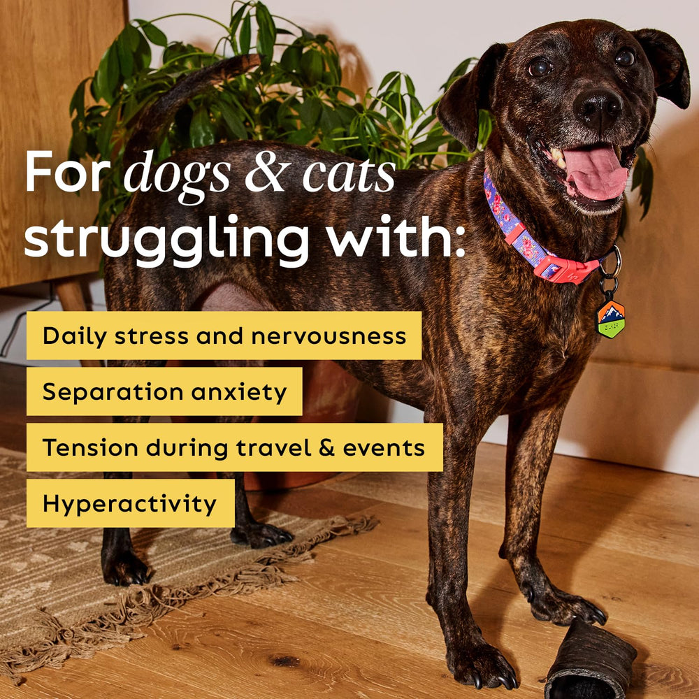 Grain-free formulation highlights easy digestion for pets.