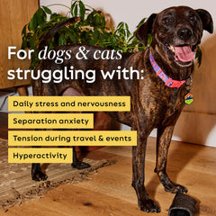 Grain-free formulation highlights easy digestion for pets.