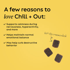 Chill Out ingredient blend highlights calming hemp and tryptophan for support.