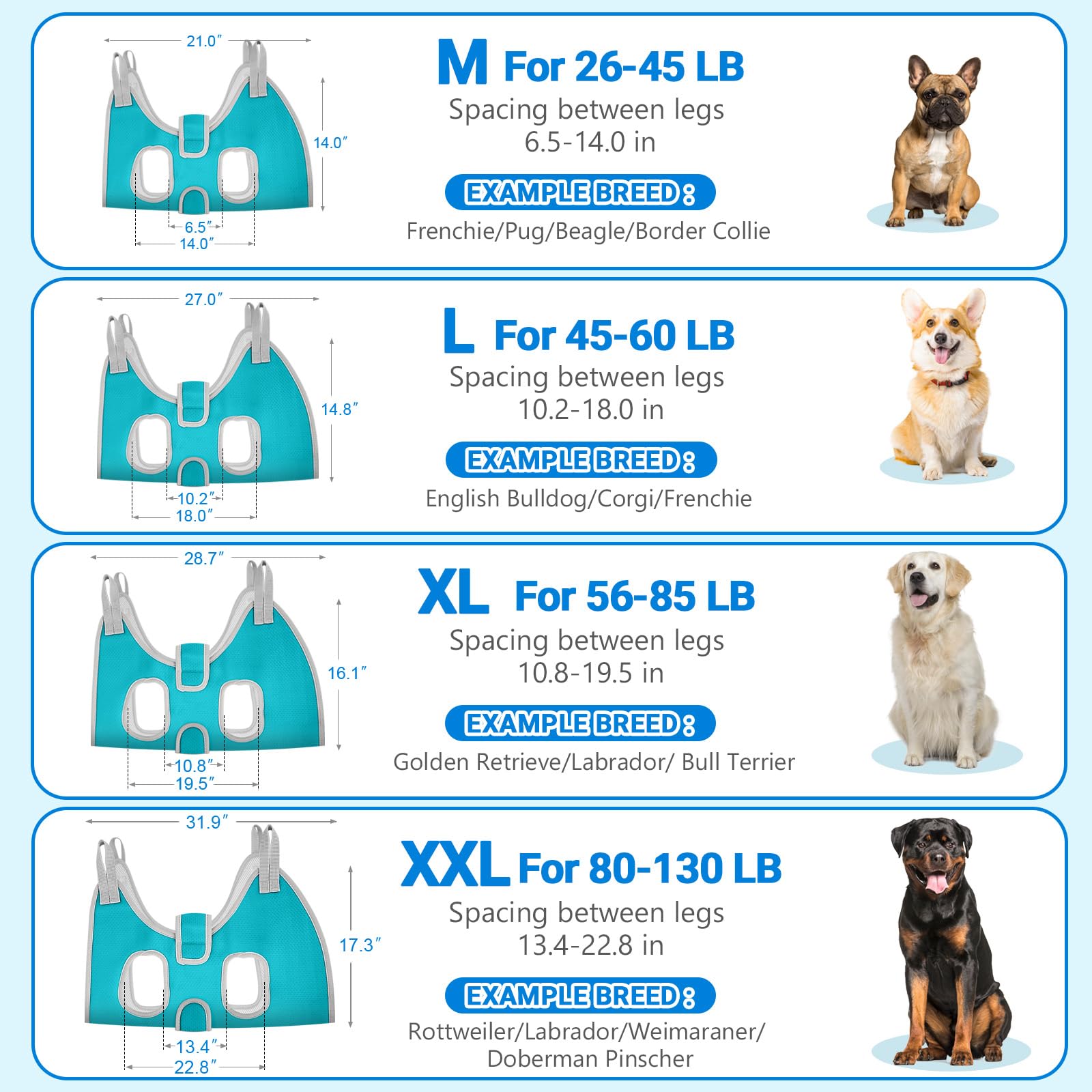 Supet carabiners closeup highlights secure attachment for reliable grooming sessions.