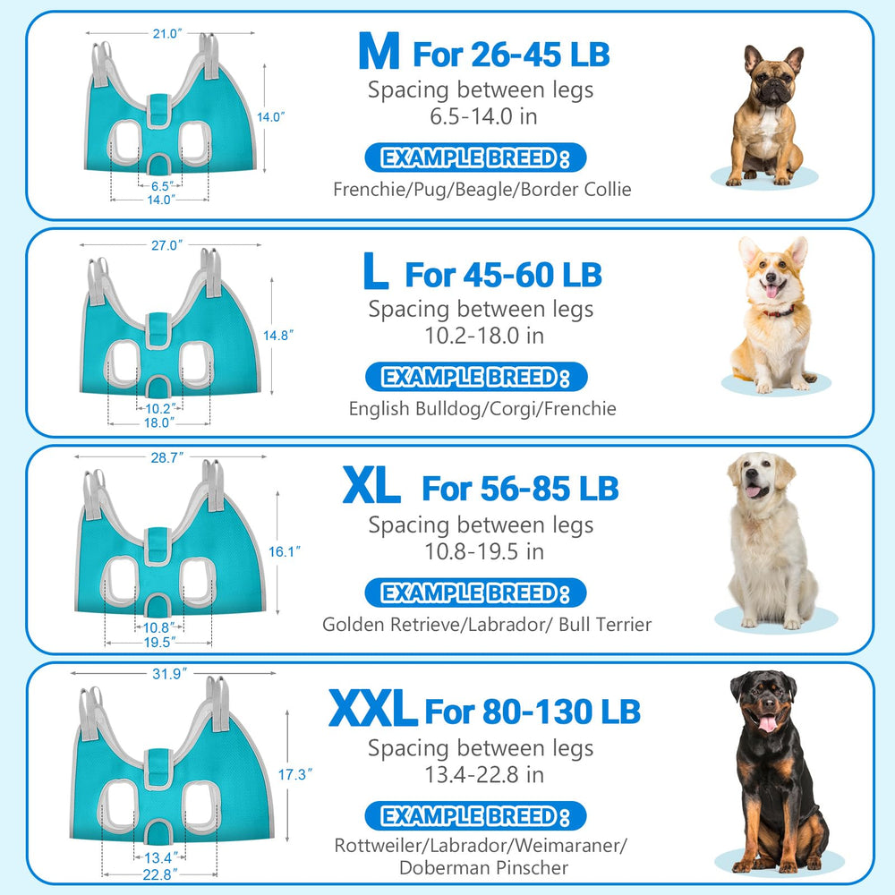 Supet carabiners closeup highlights secure attachment for reliable grooming sessions.