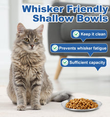 Supet whisker-friendly shallow bowls promote comfortable meals for indoor cats.