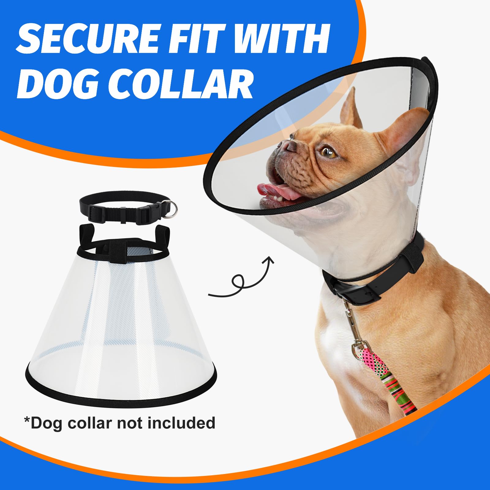 Supet dog cone in use during recovery, reducing lick and scratch attempts.